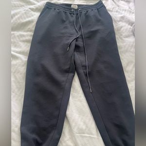 Aritzia Jogger